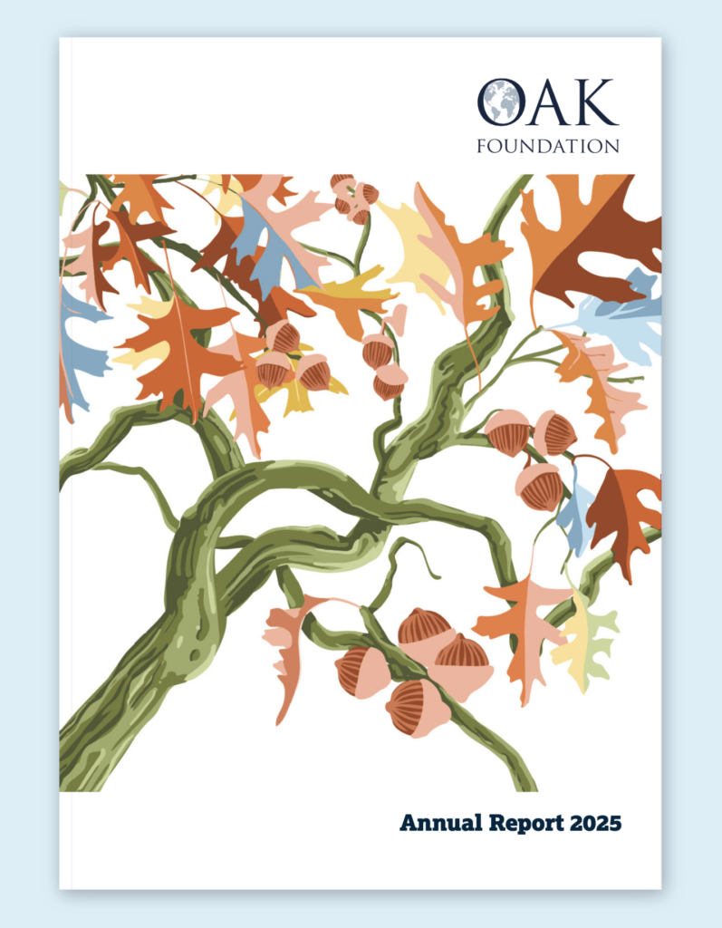 Portada del informe anual 2025